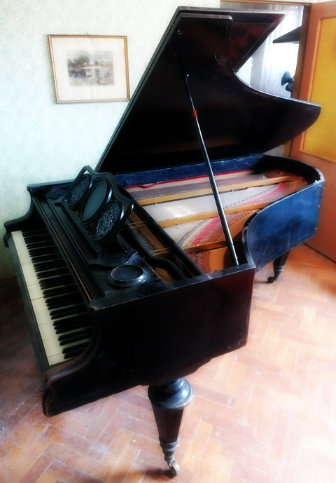 For Sale Antique Petrof Grand Rare Piano Forte